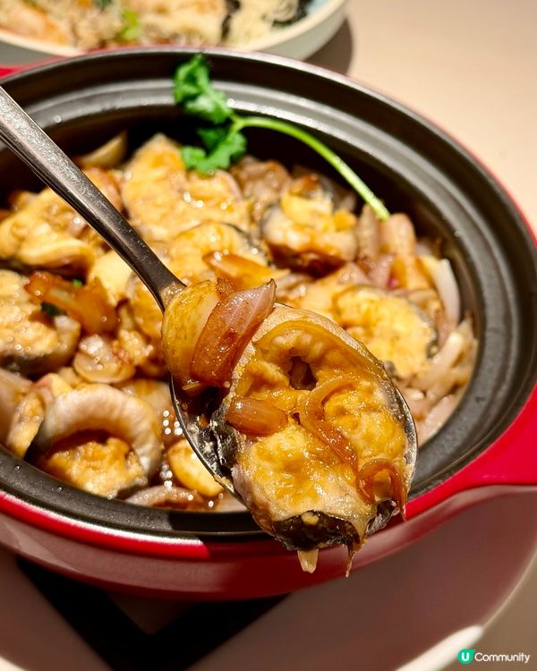 [勞蘇食]不能錯過時令鰻魚菜品😮‍💨