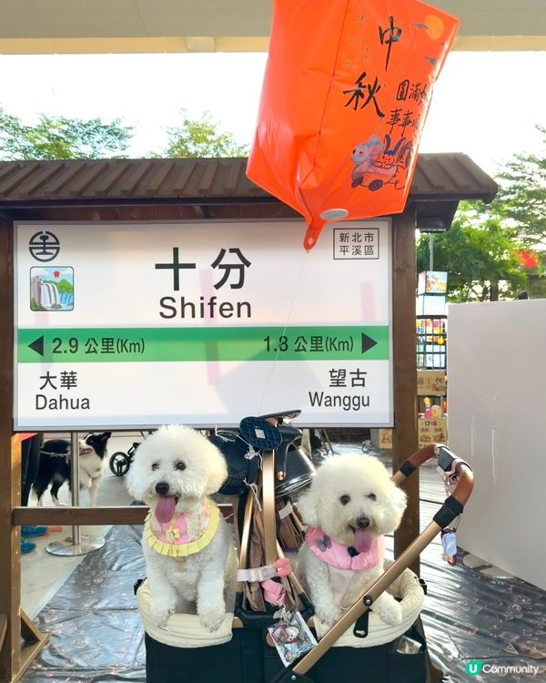 觀塘海濱中秋偽去台灣打卡活動