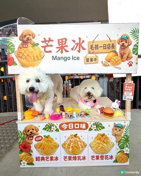 觀塘海濱中秋偽去台灣打卡活動