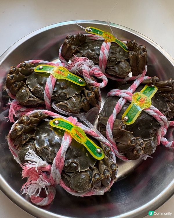 蟹季正式開籮🦀漁記大閘蟹勁爆膏🤤