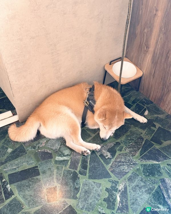 日系老宅風☕️日和珈琲