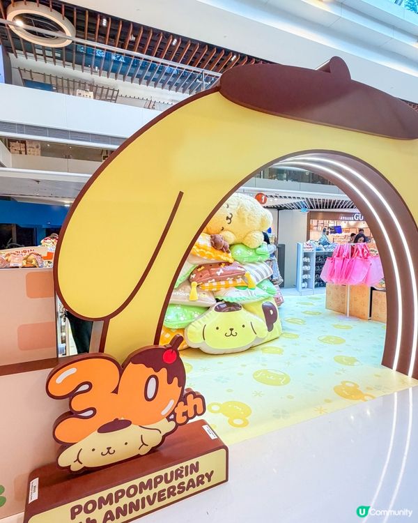 香港｜🍮 Pompompurin 30歲生日快樂 ♡