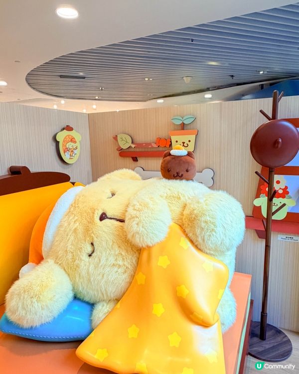 香港｜🍮 Pompompurin 30歲生日快樂 ♡