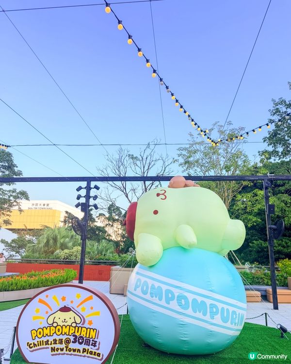 香港｜🍮 Pompompurin 30歲生日快樂 ♡