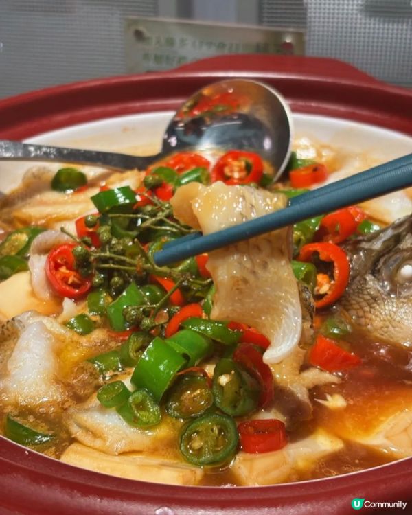 荷其清香!肉嫩滲透每一絲,鱸魚鮮麻香三重層次
