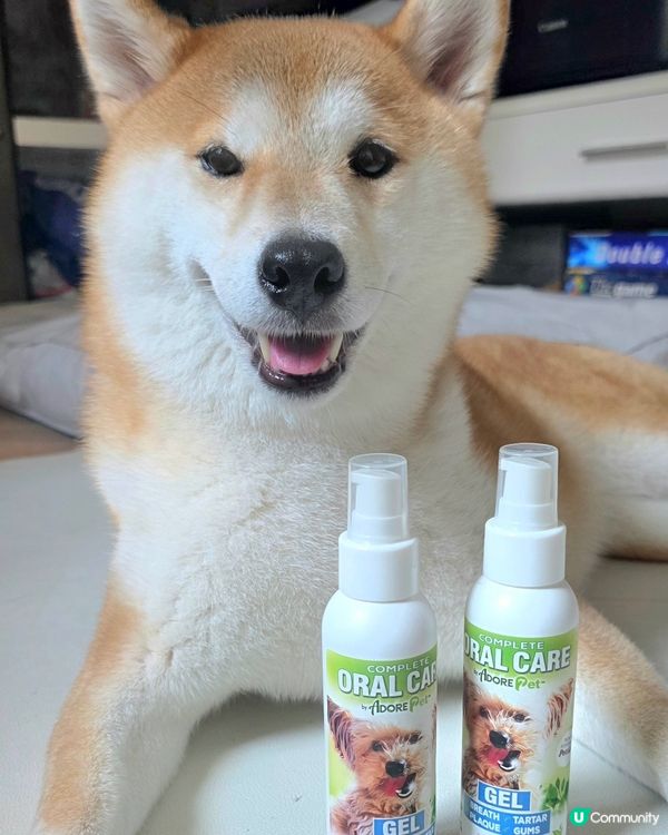 最近試咗 Adore Pet 寵物口腔護理Gel (三文魚味...