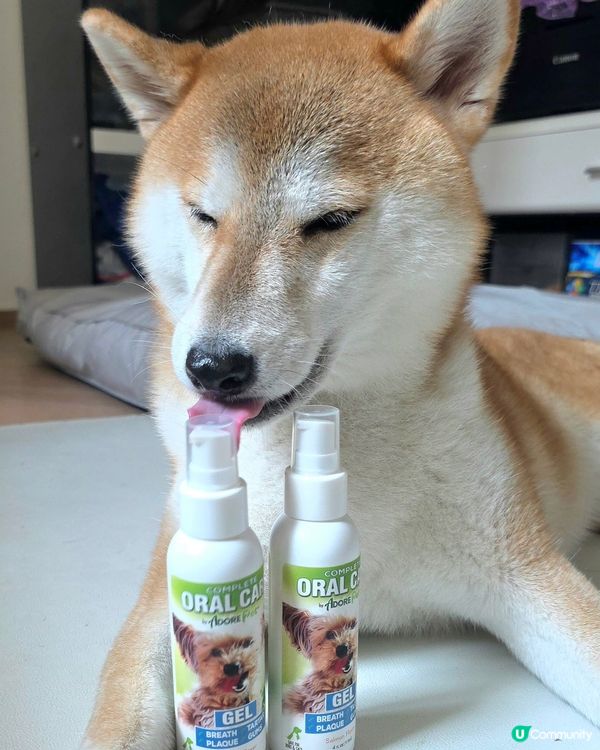 最近試咗 Adore Pet 寵物口腔護理Gel (三文魚味...