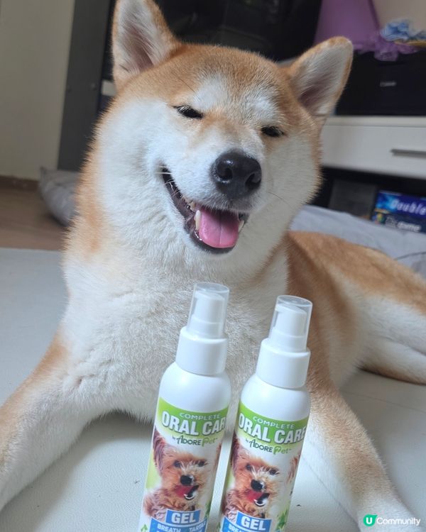 最近試咗 Adore Pet 寵物口腔護理Gel (三文魚味...
