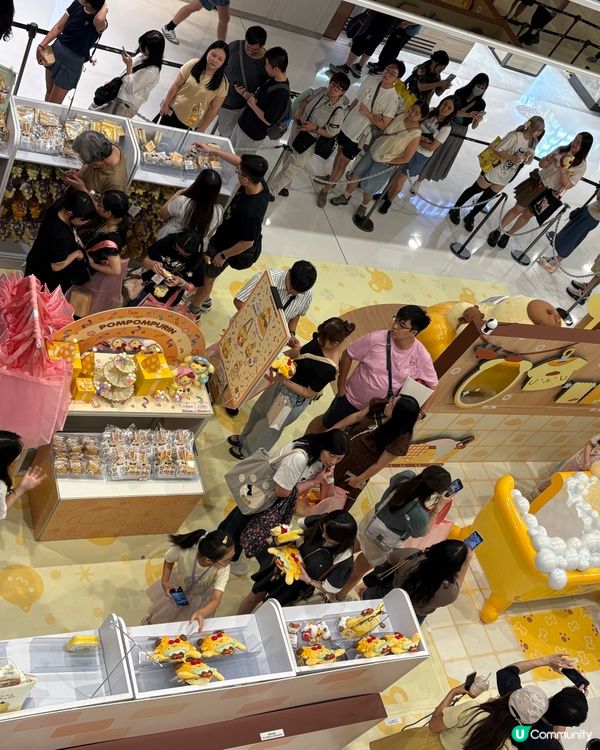布甸狗pop up store- 沙田