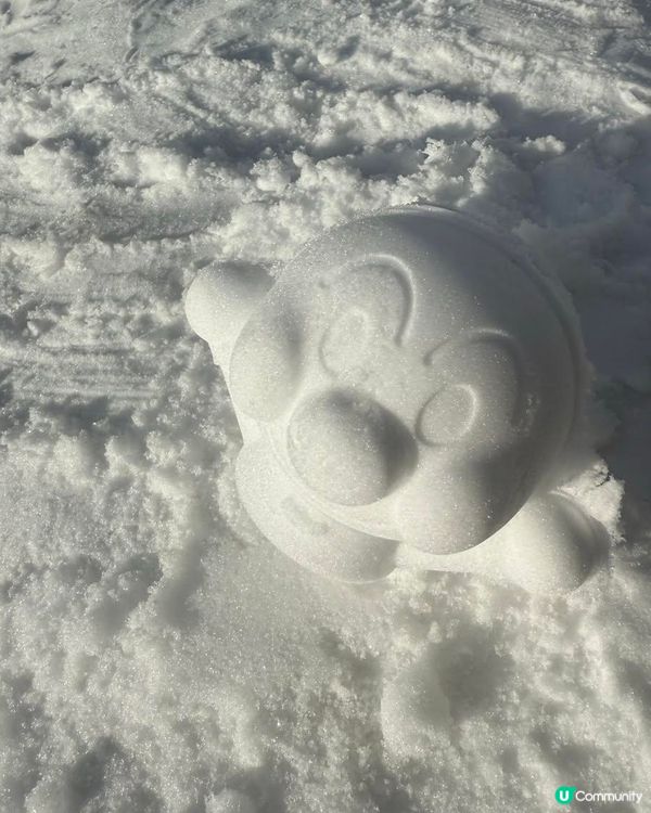 北海道下雪了