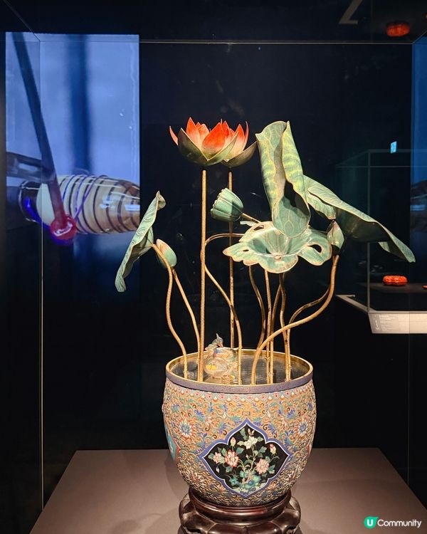 想觀摩皇室珍品,了解清代宮廷極致美學?去逛逛香港故宮文化博物...