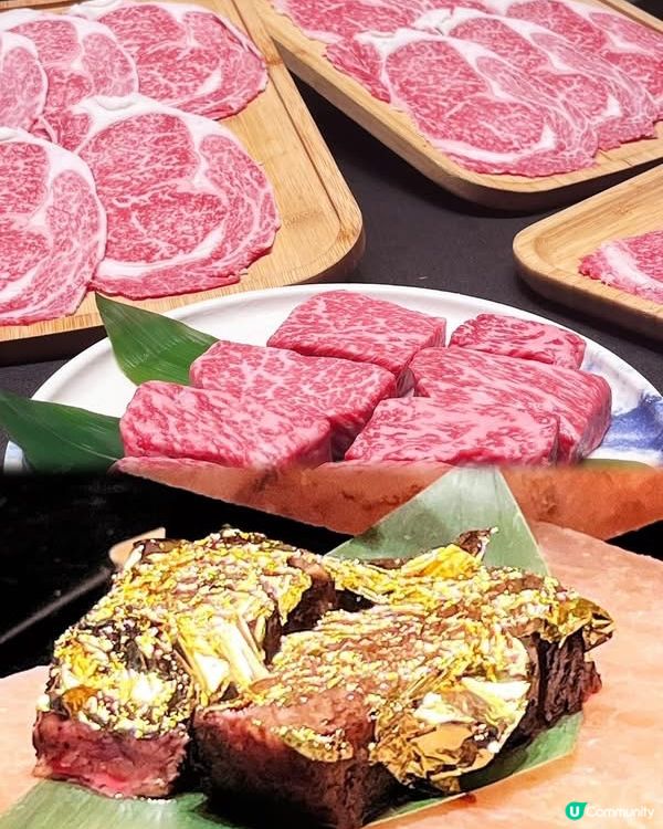 板神七週年奢華盛宴！✨