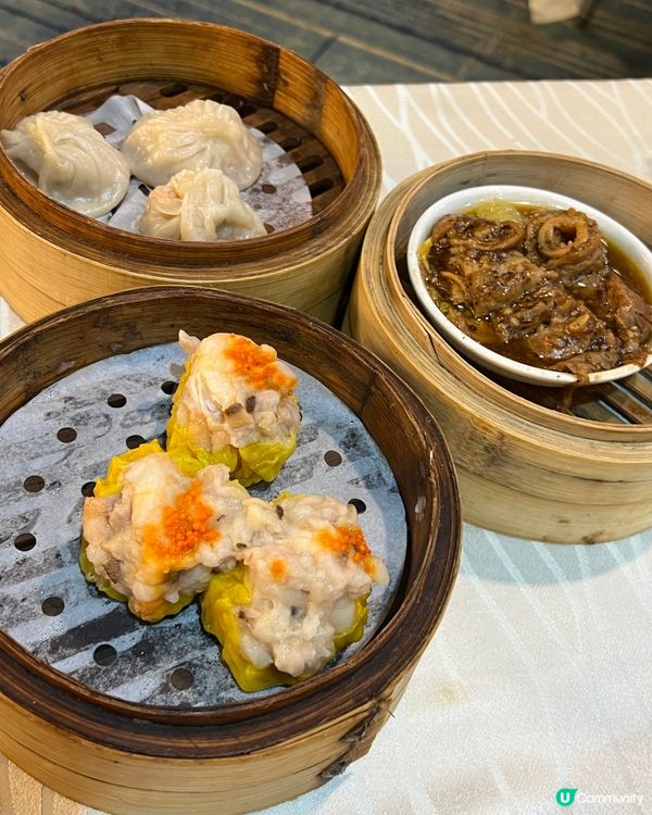 🍲勁抵食中式火鍋點心任食🥟常滿百家菜🍴