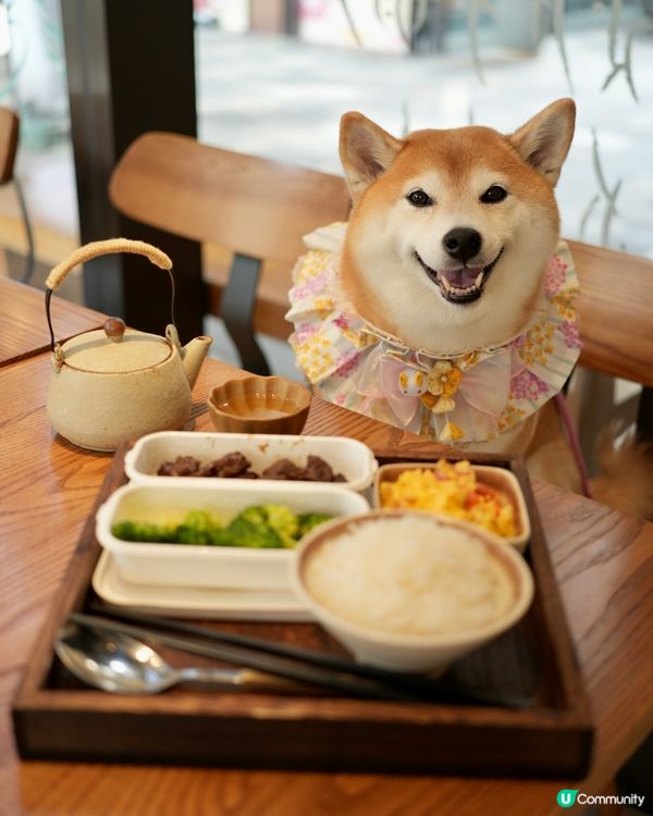 🫖鬧市中的隱世小茶館🍵 