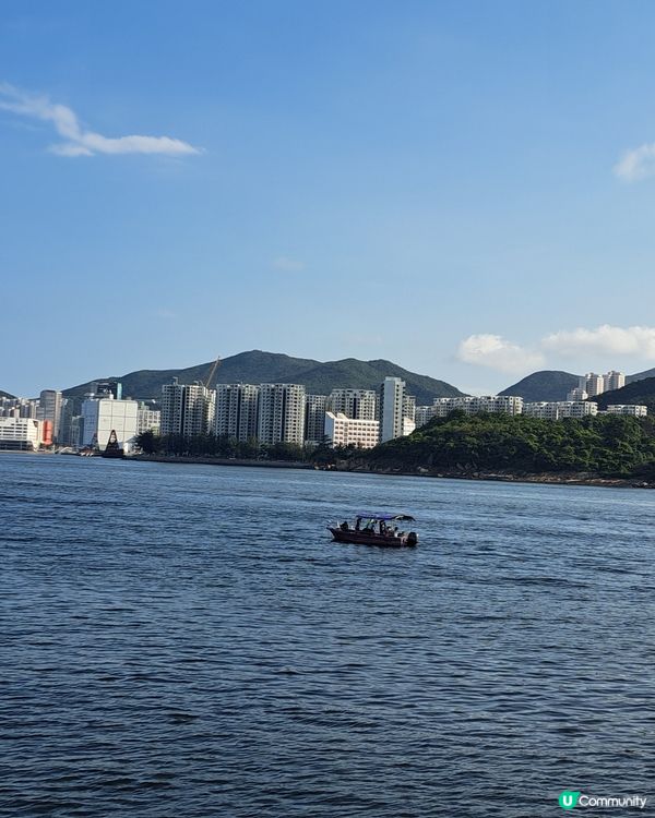 鯉魚門變成一個釣魚好地方