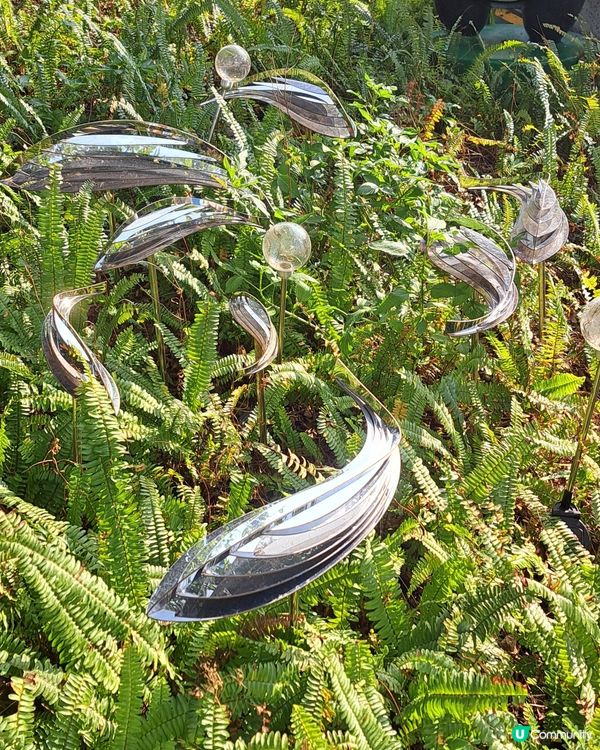 鯉魚門變成一個釣魚好地方