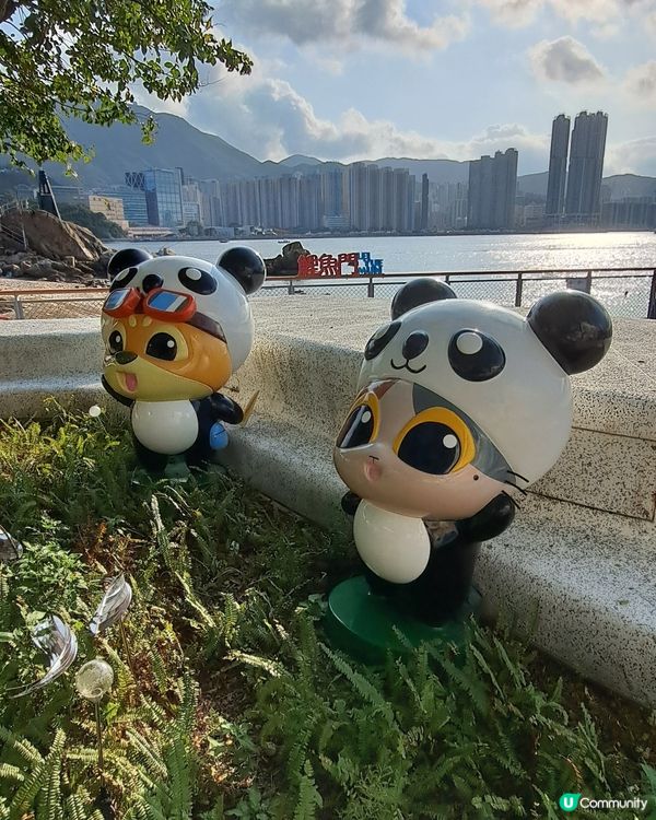 鯉魚門變成一個釣魚好地方