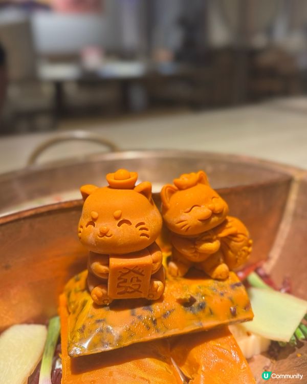 貓奴注意‼️貓主題火鍋＋免費盲盒抽！