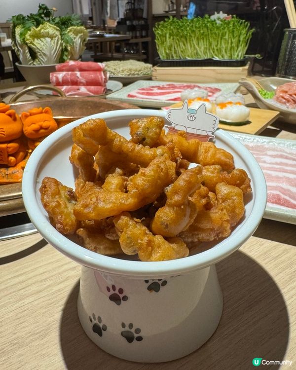 貓奴注意‼️貓主題火鍋＋免費盲盒抽！