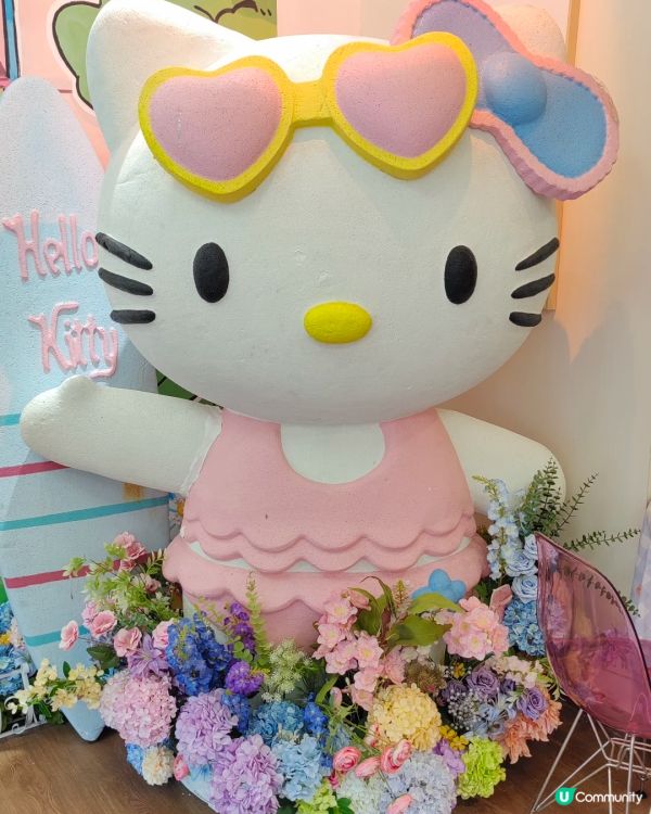 龍崗Kitty控狂喜！重裝法式農場風超好拍