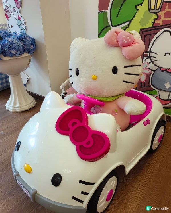 龍崗Kitty控狂喜！重裝法式農場風超好拍
