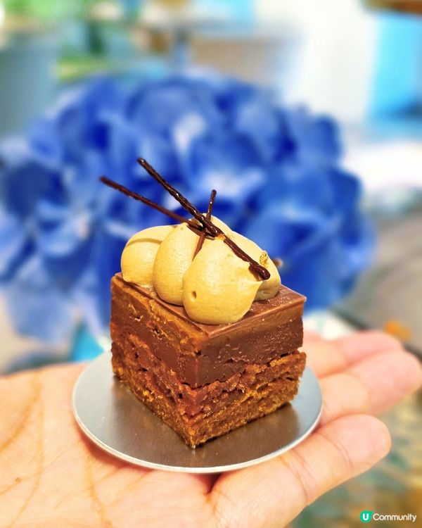 🩵Tiffany Blue Box Café🩵