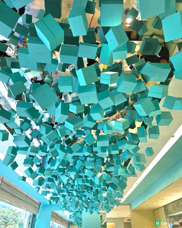 🩵Tiffany Blue Box Café🩵