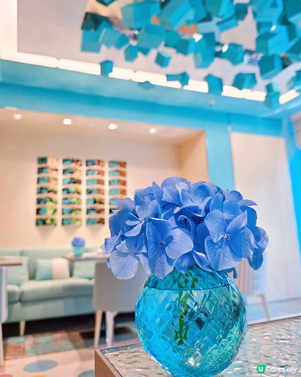 🩵Tiffany Blue Box Café🩵