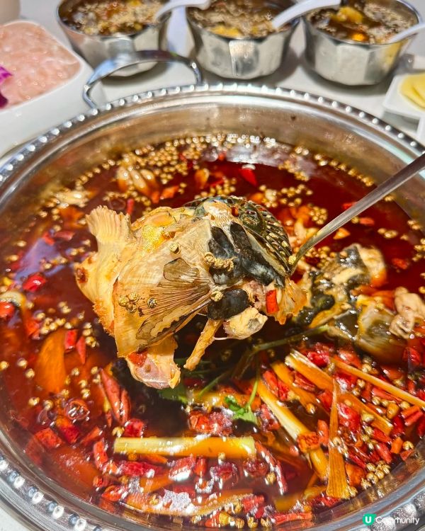 福田新店！這家美🐸🐟頭終於不用跑遠了🌶️