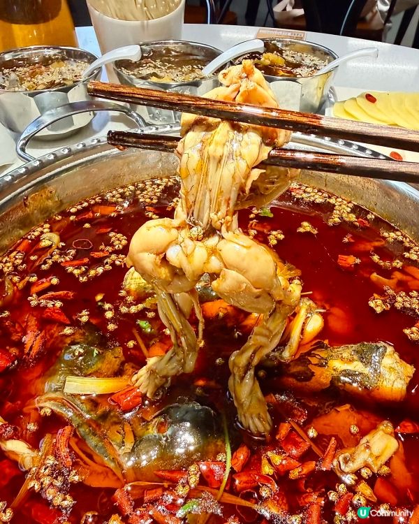 福田新店！這家美🐸🐟頭終於不用跑遠了🌶️