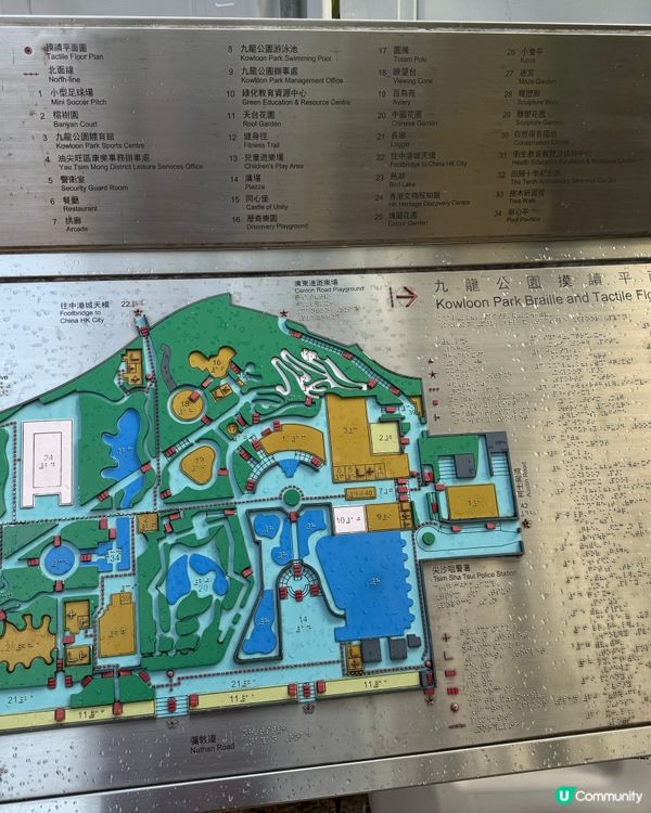 九龍公園大冒險 🌳