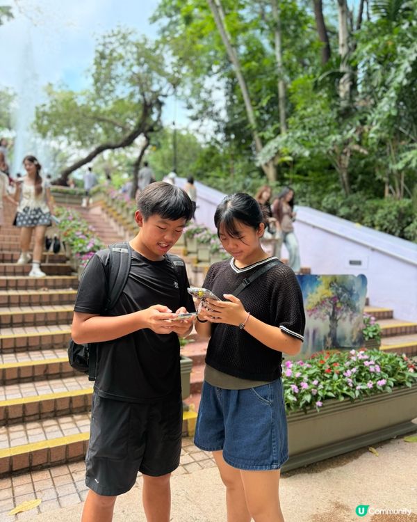 九龍公園大冒險 🌳