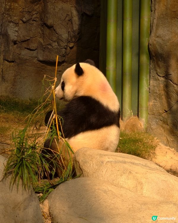 一年一度哈囉喂