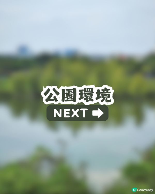 深圳6000m²百日菊花海🌸免門票! 必打卡五彩梯田💐