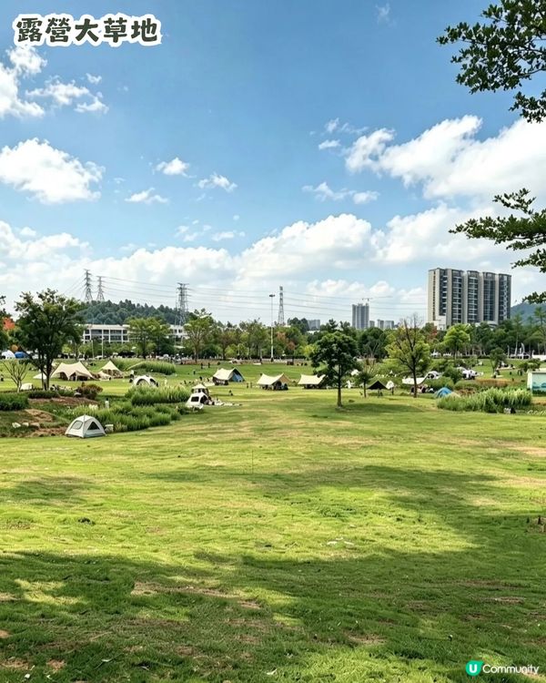 深圳6000m²百日菊花海🌸免門票! 必打卡五彩梯田💐