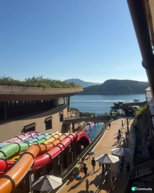 抓住夏天的尾巴🌞海洋公園水上樂園