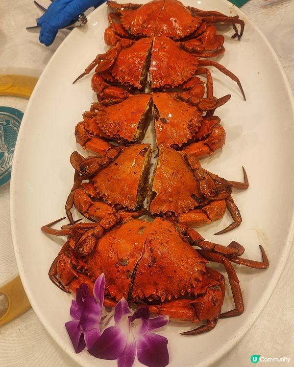 😋樂富高質生日飯，呢餐正到痺！🦀