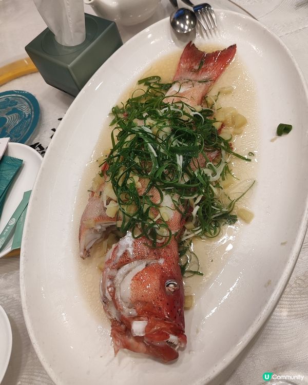 😋樂富高質生日飯，呢餐正到痺！🦀