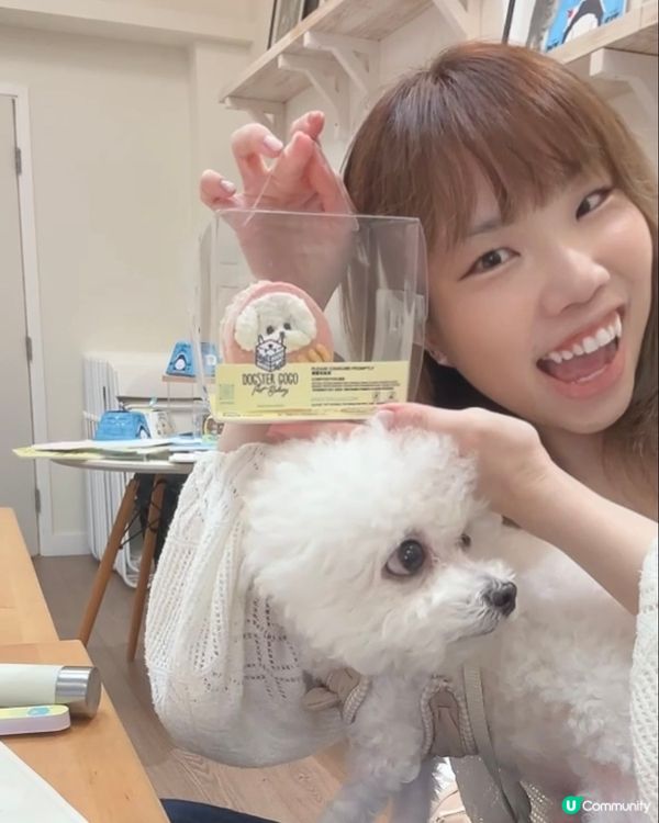 寵物蛋糕工作坊體驗🧁
