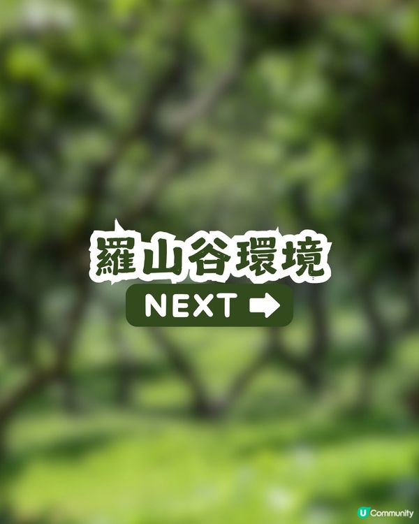 深圳新開11.35萬m²山林式商業空間 - 羅山谷⛰️30+品牌進駐! 休憩/購物/划艇/叢林及滑浪體驗