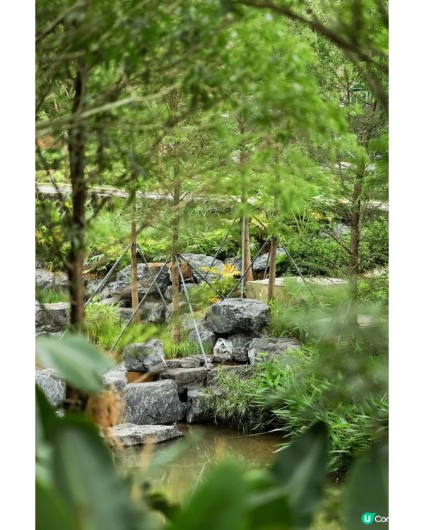 深圳新開11.35萬m²山林式商業空間 - 羅山谷⛰️30+品牌進駐! 休憩/購物/划艇/叢林及滑浪體驗