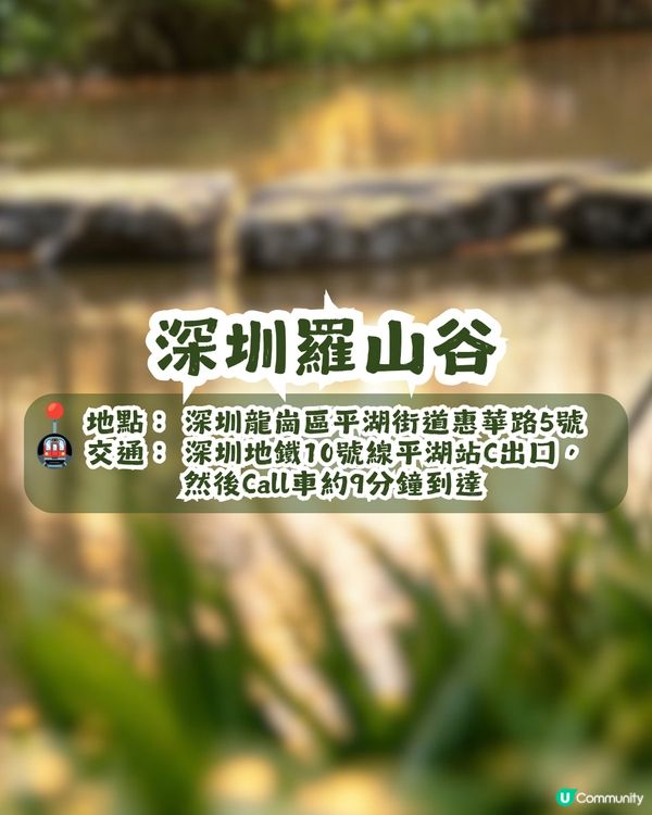 深圳新開11.35萬m²山林式商業空間 - 羅山谷⛰️30+品牌進駐! 休憩/購物/划艇/叢林及滑浪體驗