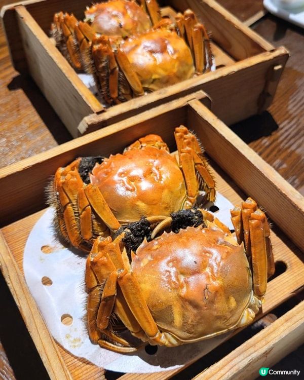 尖沙咀羲和雅苑 維港靚景中菜