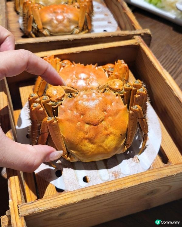 尖沙咀羲和雅苑 維港靚景中菜