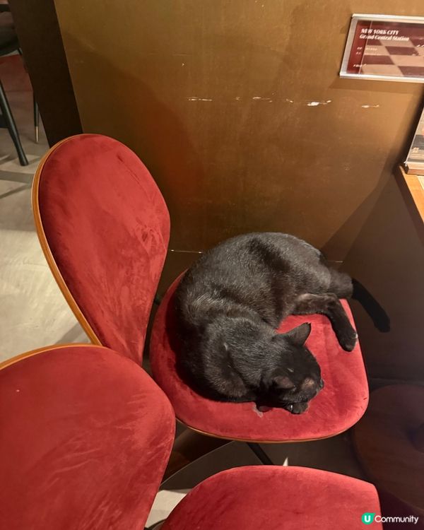 ［深圳景點］深圳陳奕迅主題cafe ☕️