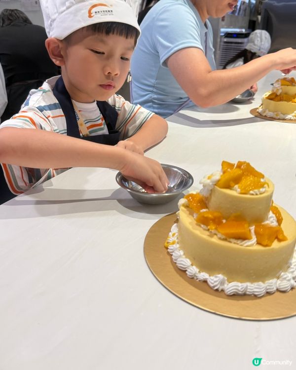 愛整蛋糕的小小廚神