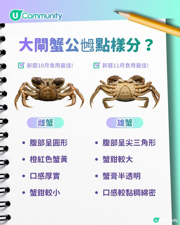 大閘蟹餐廳必食6大推介🦀2小時任食／免費代蒸／正宗江蘇大閘蟹！附限時優惠