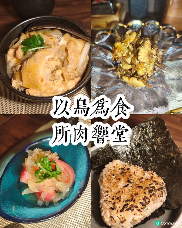 為食鳥🐔 - 鳥庭