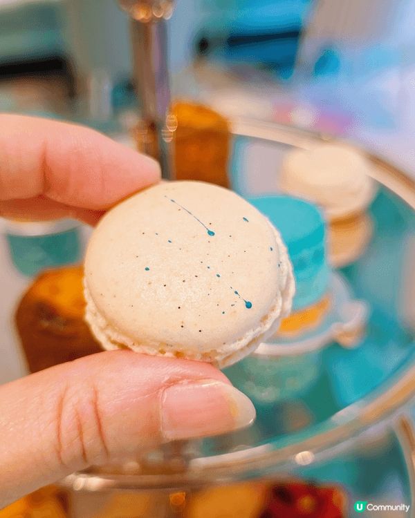 🩵Tiffany Blue Box Café🩵