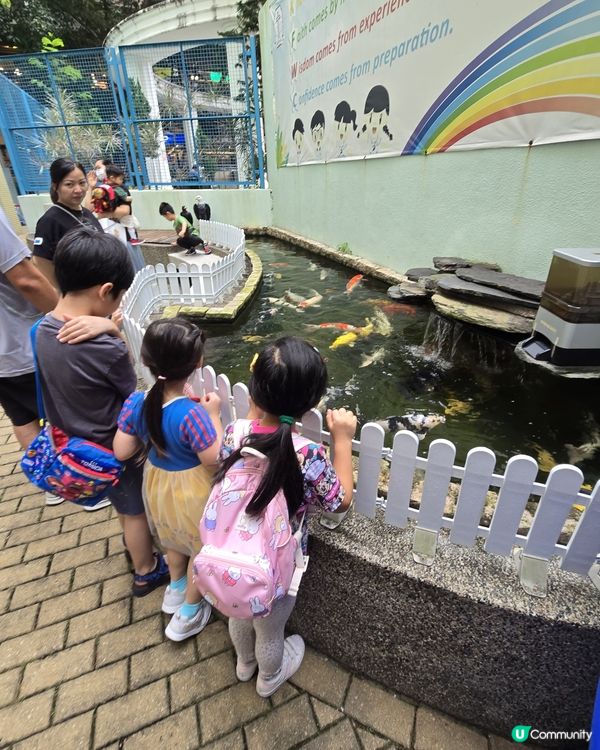 小學開放日 🏫